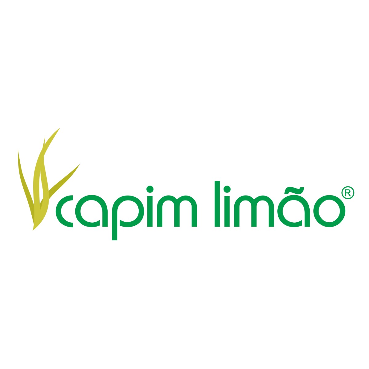 Nutricolin 300Mg 30 Capsulas - Nutricolin 300mg 30 Cápsulas